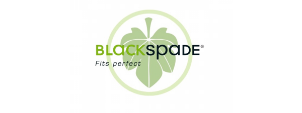 BLACK SPADE